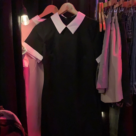 Black dress with white collar - Picture 2 of 2